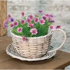 Willow Gray Tea Cup & Saucer Planter Garden Wedding Gifts CWI