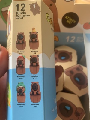 CAPYBARA Decorative Mini Figure X 1 Blind Box Figurine! | eBay