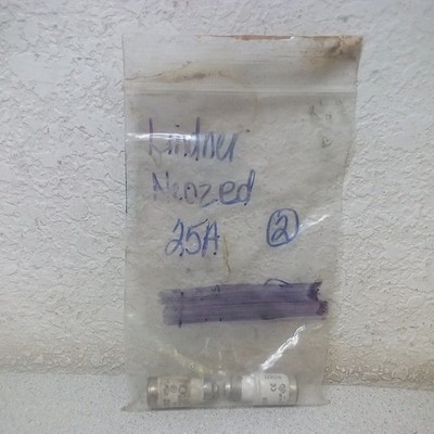 Lindner Neozed 25A Ceramic Fuse, Lot of 2