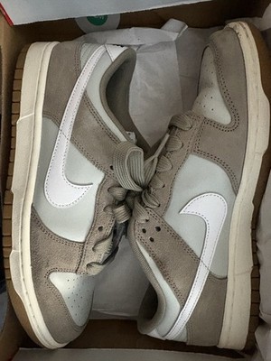 nike dunk low retro se