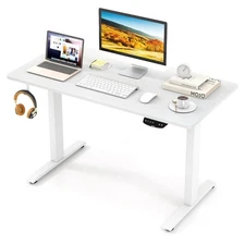 Costway Adjustable 48" x 24"  Electric Standing Up Desk Dual Motor w/ Controller