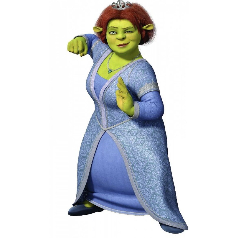 Shrek The Third Princess Fiona Dress Girls Costume Medium for