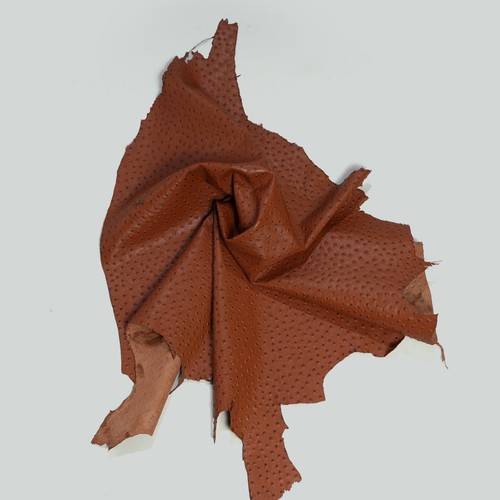 Lambskin leather TAN BROWN OSTRICH SKIN PERFECT FOR LEATHER BAG EACH HIDE 5-6sqf - Picture 4 of 7