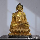 Foto 1 di 9