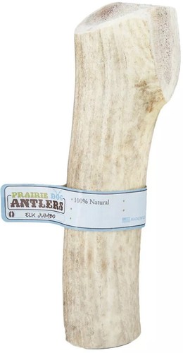 Antler Dog Chews - ONE (1) Large DEER Antler for Dog Chew Antler Bone TOP SELLER - Picture 3 of 12