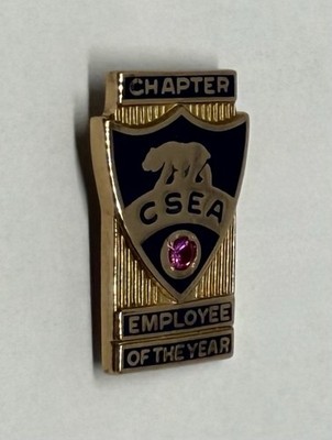 Chapter CSEA Employee Of The Year California School Association 10k GF Pin P19B