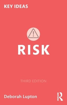 RISK by Deborah Lupton Paperback Self Help Business