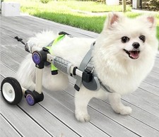 Dog Wheelchair Adjustable Pet Cart for Back Legs Size XXS Mobility Aid