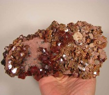 Cristalli VANADINITE rossi 8,5" su roccia matrice - Mibladen, Marocco - 3,8 libbre.