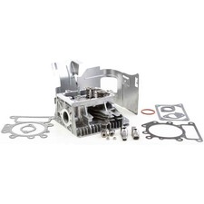Briggs & Stratton 84011649 Cylinder Head Asse...
