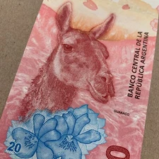 Lama Argentinian Guanaco Argentina 20 Pesos Banknote Currency 2010's Paper Money