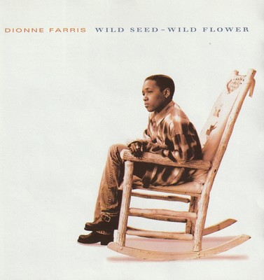 CD DIONNE FARRIS ''Wild Seed - Wild Flower'' 1994  Original Album A1 Zustand