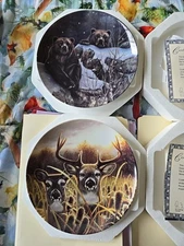 Bradford Exchange Eyes Of The Wild Collectors Complete Set Of 8 Plates