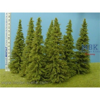 Model Scene MSC-MO150 Lärche / Larch 14-16 cm  3x