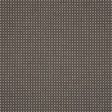 Sunbrella Depth Fossil Outdoor Upholstery 16007-0003 Fabric By the yard