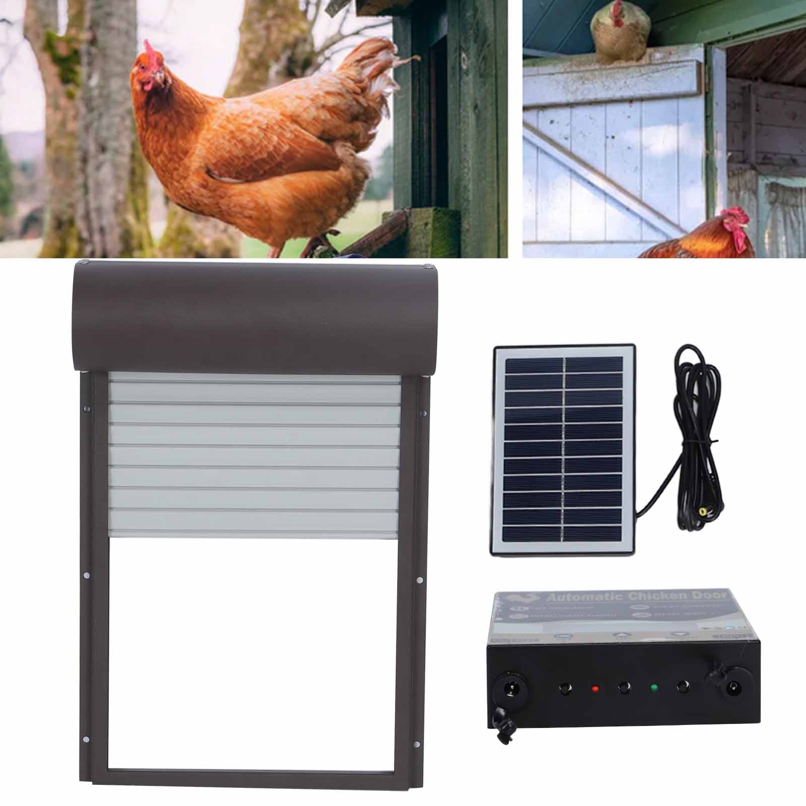 Automatic Chicken Coop Door Solar Powerd Metal Rolling Curtain Chicken  House | eBay