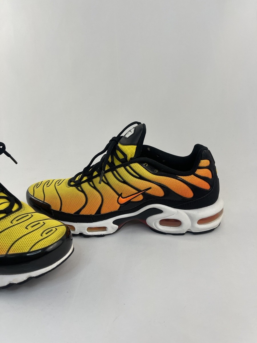 Size 11.5 - Nike Air Max Plus TXT TN Tiger | eBay
