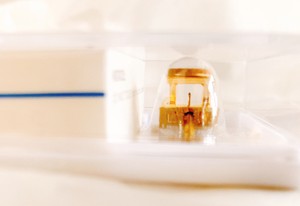 factory shop prices JICO Audio Empire S-2000Z 241-2Z Japan