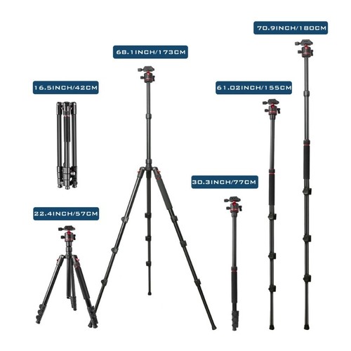T175BM 2-in-1 Tripod & Monopod with 360° Ball Head, Lightweight Aluminum - Picture 2 of 9