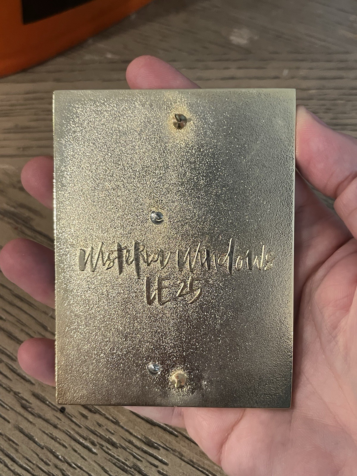 Wisteria Windows Little Mermaid Vanessa Fantasy Pin