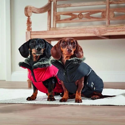 Wolters Winterjacke Amundsen DACKEL & Co. Hundemantel 6 Farben / 8 Größen