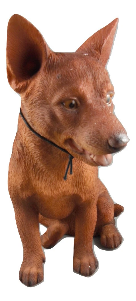 Red cloud hot sale kelpie