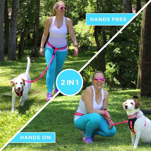 Guinzaglio per Cani Mani Libere Guinzaglio da Corsa per Cani Crea un Esercizio per Animali Domestici Routine - Foto 2 di 15