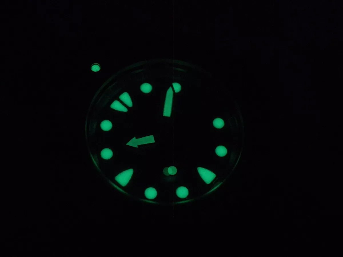 Megalodon clearance watch cost