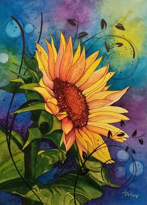 ACEO ORIGINAL PRINT - Sunflower Floral Watercolor/Ink Botanical Art  by PHarp