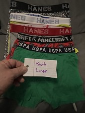 Hanes Minecraft USPA Boys' Boxer Briefs 5Pack Cotton Large L 12/14 Multicolor