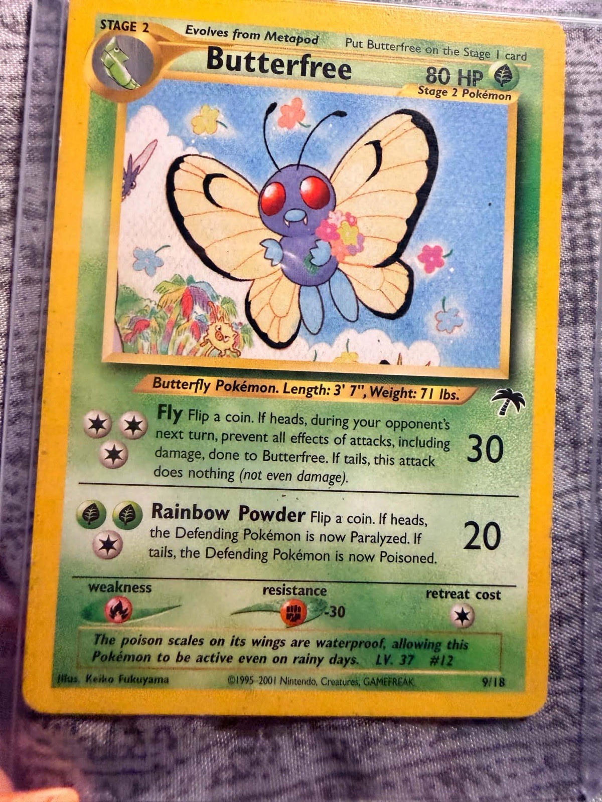 Pokemon TCG Southern Islands Butterfree 09/18 Promo Regular English 80HP