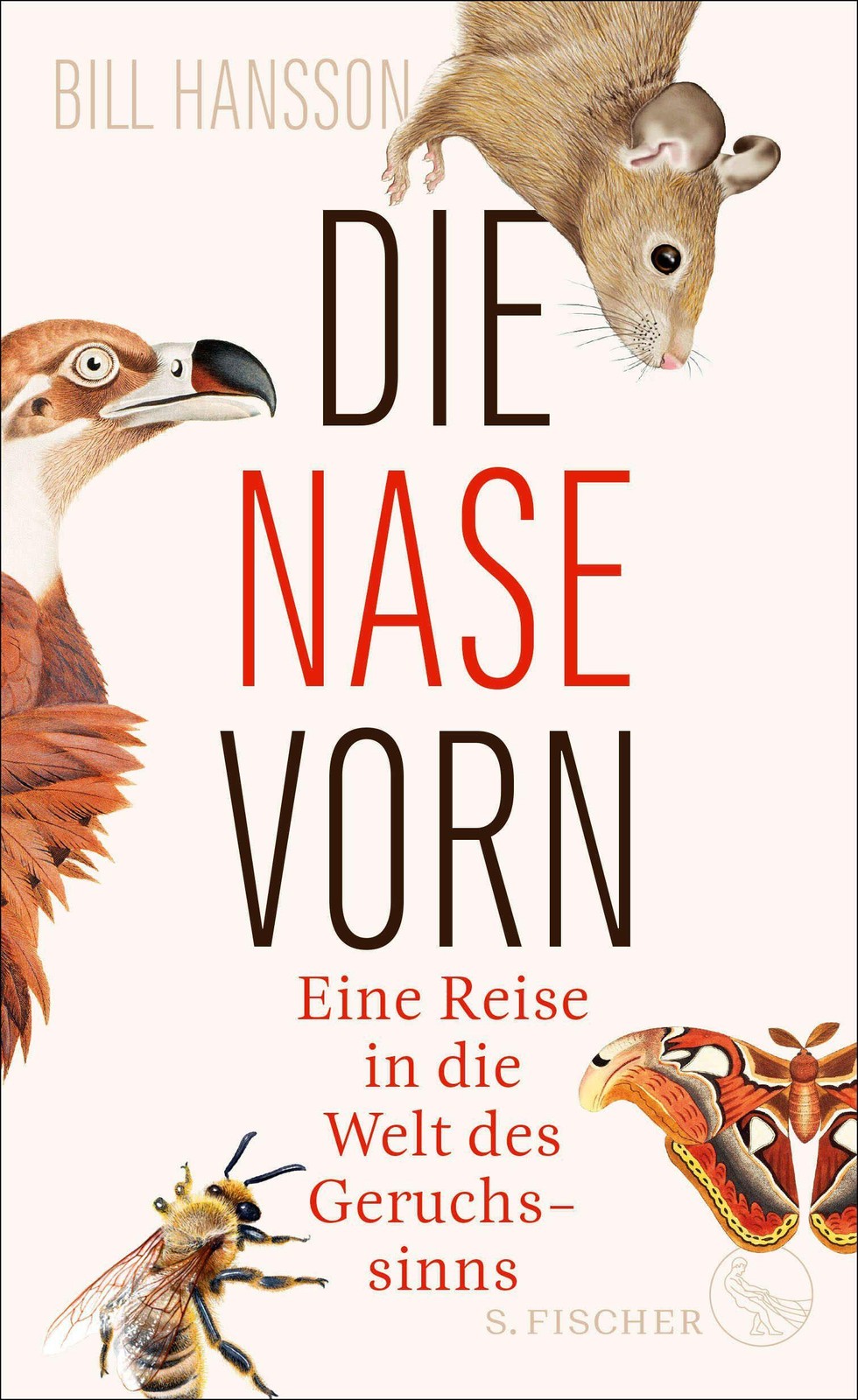 Die Nase vorn - Bild 2