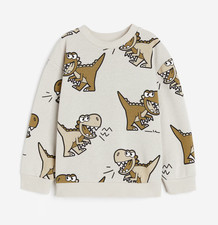 H&M Jungen Sweatshirt Shirt Langarmshirt Pull...