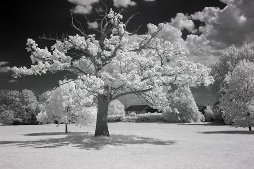 Filtry klipsowe z nadrukiem 3D do Canon EOS R10 bezlusterkowe. IR 590,650,720nm, cięcie UV/IR - Zdjęcie 12 z 13