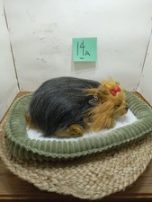 2014Perfect Petzzz Yorkie Terrier Dog With Bed Excellent Used Condition