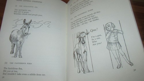 Riddles & Rhymes & Rigamaroles ~ John Cunliffe. 1971 HbDj HERE in MELB - Foto 11 di 12