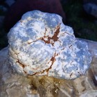 Bild 6 von 6