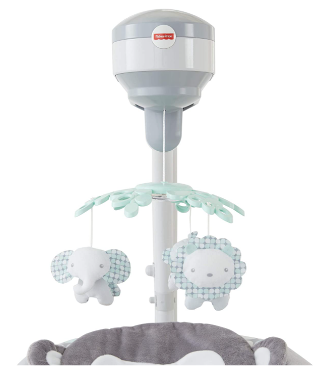 fisher price sweet surroundings swing