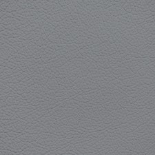 Lexus Bluish Gray Leather Dye