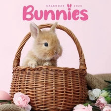 2026 Bunnies Mini Wall Calendar by Carousel Calendars (English)