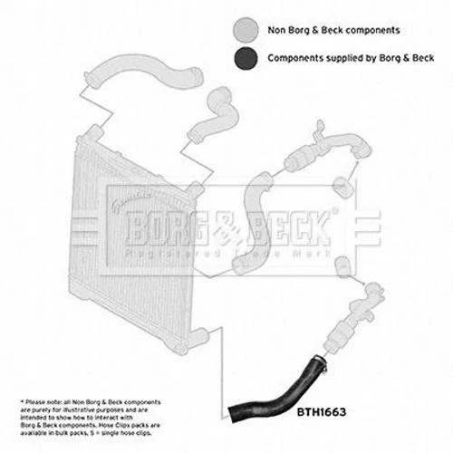 BORG & BECK BTH1663 Turbo Ladeluftschlauch für LAND ROVER Range Rover III (L322) - Bild 3 von 4