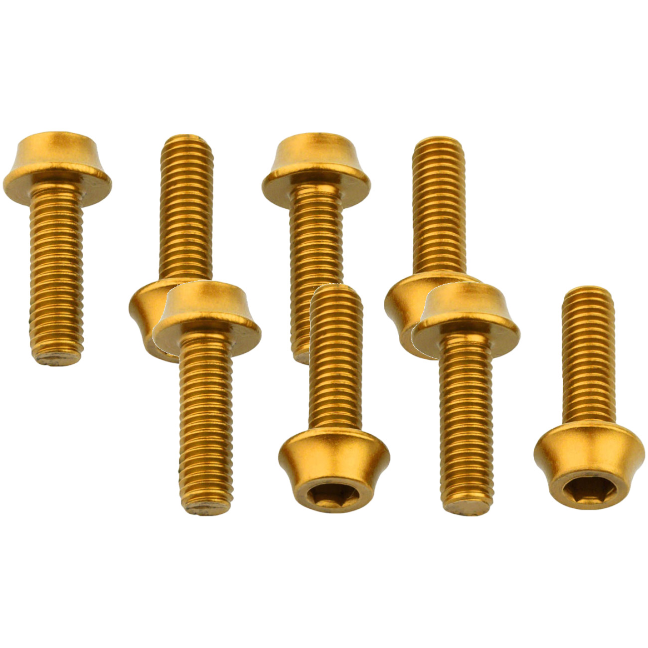 Упаковка из 2 крепежных болтов для бутылки с водой Волчий зуб M5x15 мм 4 штуки Алюминий Золото 5190₽