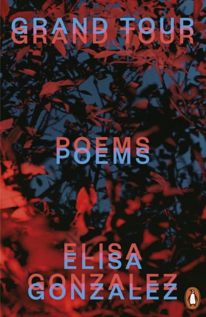 Grand Tour Poems by Elisa Gonzalez (Paperback Book)
