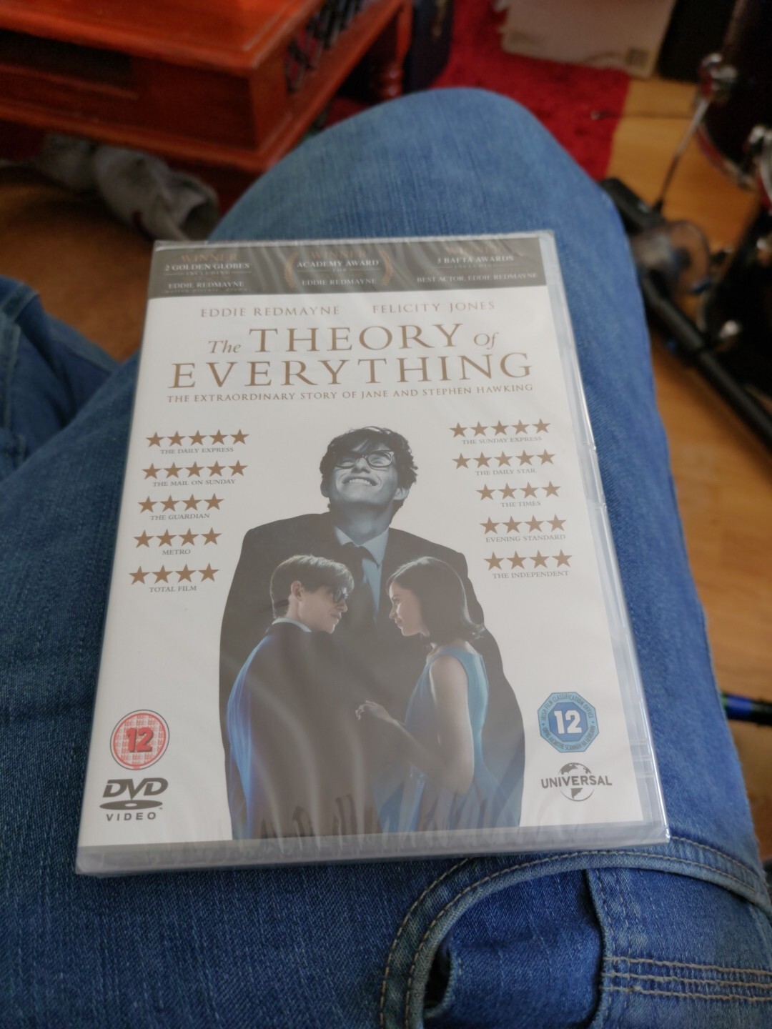 The Theory Of Everything (DVD, 2015)