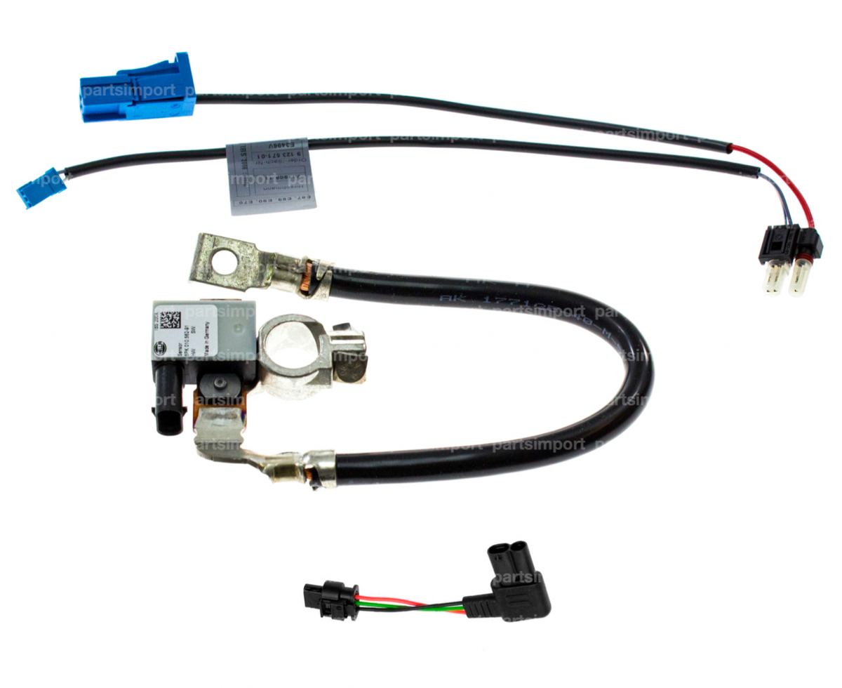Paire de charnières capot Mustang 65-66 | Acheter sur