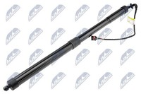 NTY Gasfeder, Einlegeboden (Koffer-/Laderaum) AE-PS-002 FüR Porsche