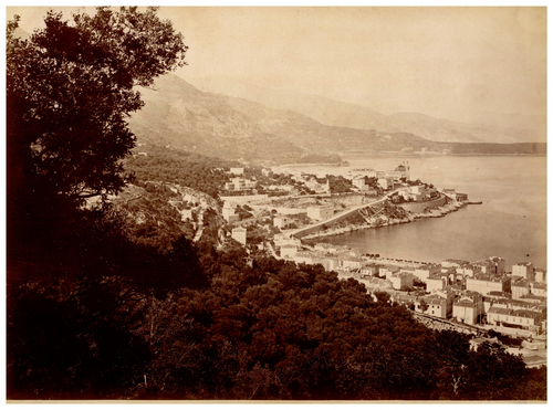 Ceylan vintage print, Tirage albuminé 20x25 Circa 1880