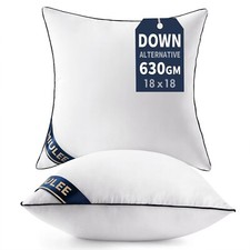 MIULEE 18x18 Pillow Inserts Set of 2 Throw Pillows 18 Inch Premium Down Alter...