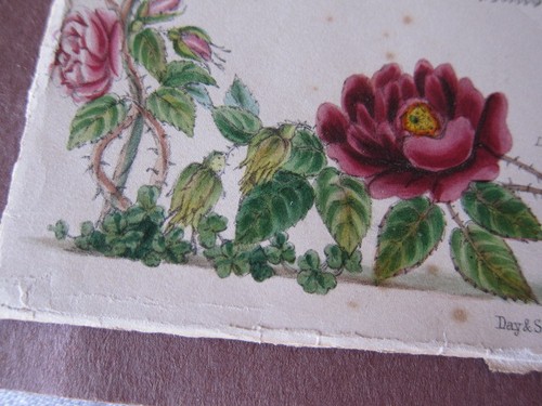 Antigua litografía coloreada a mano de Jane Elizabeth Giraud Las flores de Shakespeare - Imagen 4 de 7