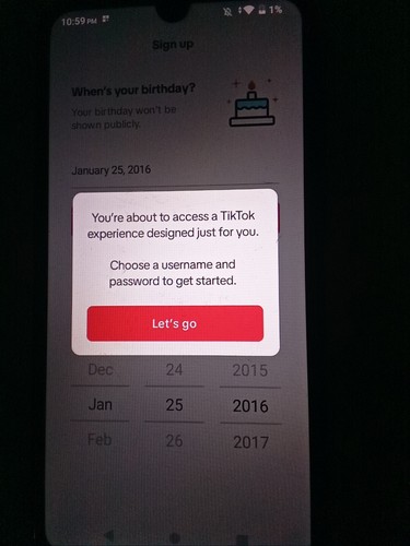 Blu Phone With Tik Tok Open Box - Picture 4 of 4